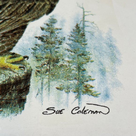 Vintage THE EAGLE By Sue Coleman Native Design Tile And Cork Trivet Wall - Picture 2 of 5